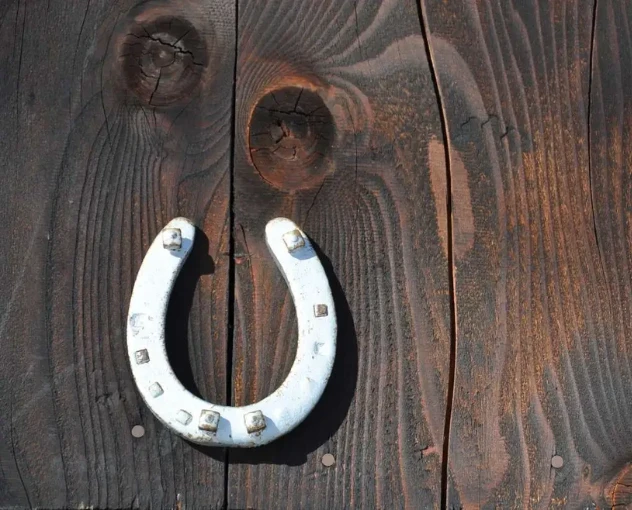 Get Ready for our new Bold Collections!